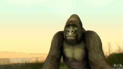 Gorilla (Mammifère) pour GTA San Andreas