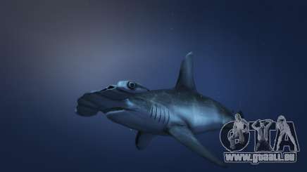 Le requin-marteau de GTA 5