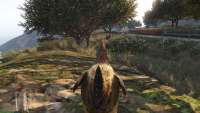 Comment devenir un poulet dans GTA 5.