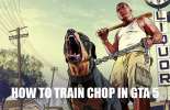 Wie trainieren Chop in GTA 5