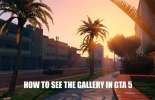 Vue de la galerie de GTA 5