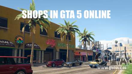 Verschiedene Geschäfte in GTA 5
