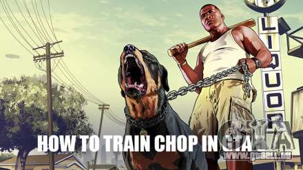 Chop the dog: wie trainieren Sie und Zug in GTA 5