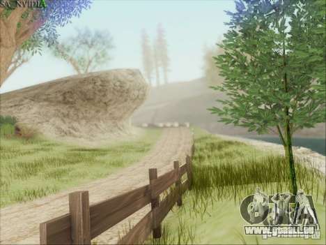 SA_Nvidia Beta für GTA San Andreas