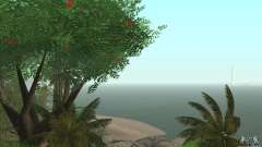 Île tropicale pour GTA San Andreas