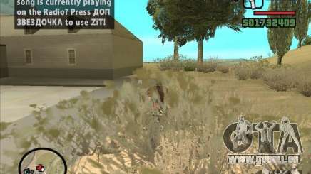 ZiT pour GTA San Andreas