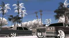 Winter Color Mod für GTA San Andreas