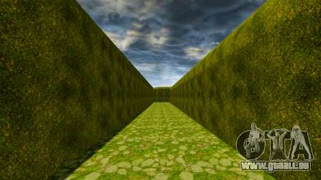 Labyrinthe pour GTA 4