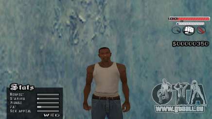 C-HUD v2 für GTA San Andreas