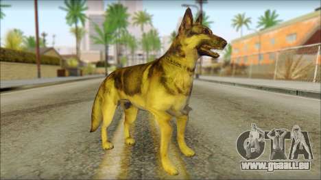 Dog Skin v1 für GTA San Andreas
