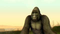 Gorilla (Mammal) für GTA San Andreas