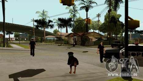 Die Möglichkeit von GTA V spielen für Tiere für GTA San Andreas