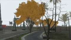 Autumn in SA v2 pour GTA San Andreas