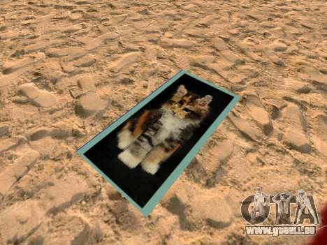 Strand Fußmatte mit Kätzchen für GTA San Andreas