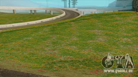 Beautiful Vegatation + Behind Space Of Realites pour GTA San Andreas