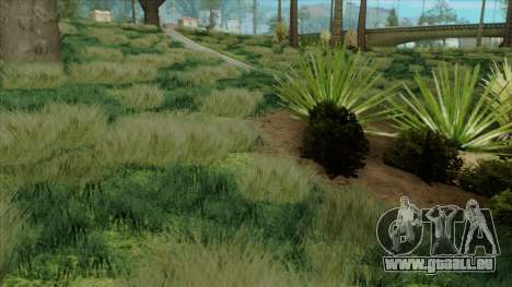 Beautiful Vegatation + Behind Space Of Realites für GTA San Andreas