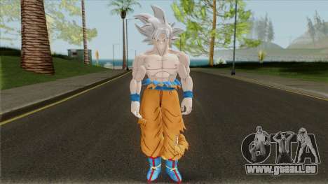 Goku Mastered Ultra Instinct from Dragon Ball für GTA San Andreas