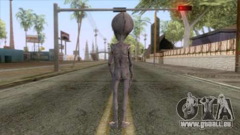 The Hum Abductions - Grey Alien Skin für GTA San Andreas