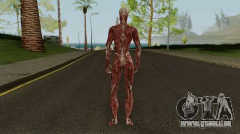 MK Female Meat pour GTA San Andreas