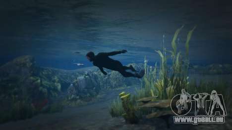 GTA 5 Diving Motion 1.4
