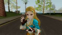 Zelda Hyrule Warriors (BOTW) pour GTA San Andreas