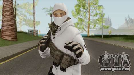 Arctic Leet Skin V3 (Counter-Strike Online 2) pour GTA San Andreas