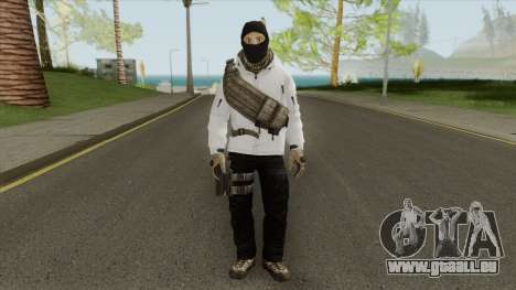 Arctic Leet Skin V2 (Counter-Strike Online 2) für GTA San Andreas