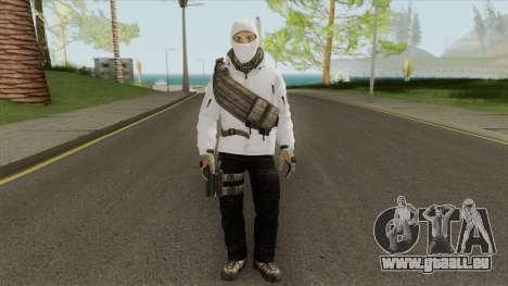 Arctic Leet Skin V3 (Counter-Strike Online 2) für GTA San Andreas