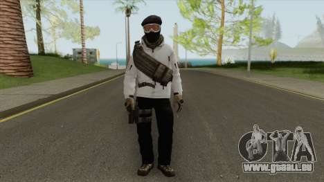 Arctic Leet Skin V1 (Counter-Strike Online 2) pour GTA San Andreas