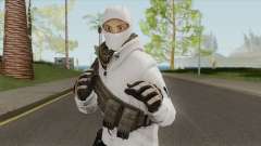 Arctic Leet Skin V3 (Counter-Strike Online 2) pour GTA San Andreas