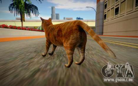Cat pour GTA San Andreas