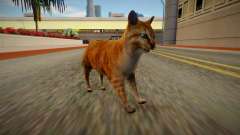 Cat für GTA San Andreas