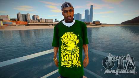 SeanWayne pour GTA San Andreas