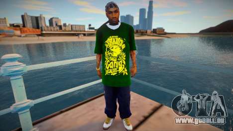 SeanWayne pour GTA San Andreas