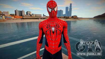 Spiderman 2004 Suit für GTA San Andreas