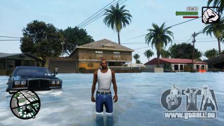Water Level Flood Street 2 für GTA San Andreas Definitive Edition