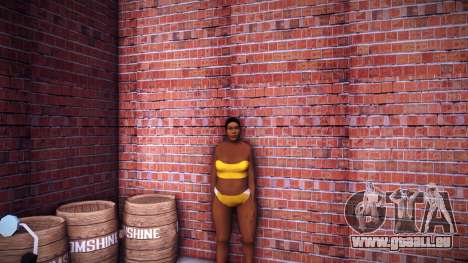 Women HD v8 pour GTA Vice City