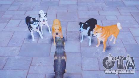Dogs Ped Pack (Fallout 4) pour GTA 4