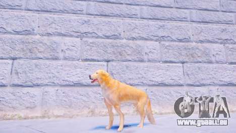 Dogs Ped Pack (Fallout 4) für GTA 4