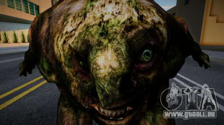 Pseudo-géant de S.T.A.L.K.E.R. v2 pour GTA San Andreas