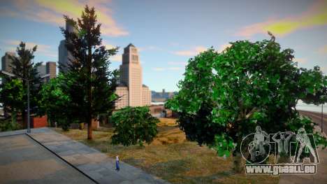 INSANITY Vegetation pour GTA San Andreas