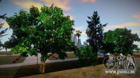 INSANITY Vegetation Light pour GTA San Andreas