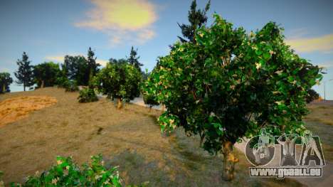 INSANITY Vegetation pour GTA San Andreas