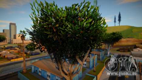 INSANITY Vegetation pour GTA San Andreas