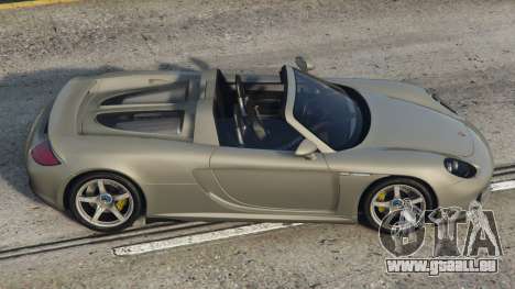 Porsche Carrera GT Quick Silver