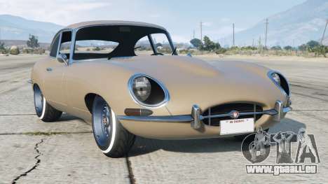 Jaguar E-Type Rodeo Dust