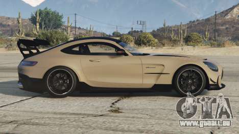 Mercedes-AMG GT Black Series (C190) Rodeo Dust