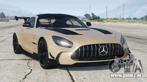 Mercedes-AMG GT Black Series (C190) Rodeo Dust