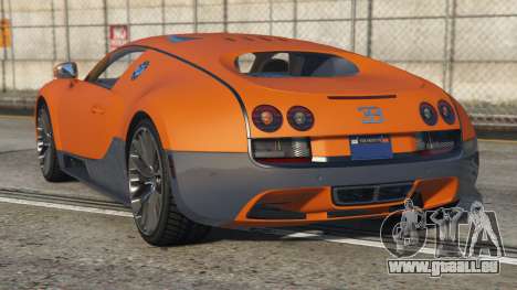 Bugatti Veyron Super Sport Crusta