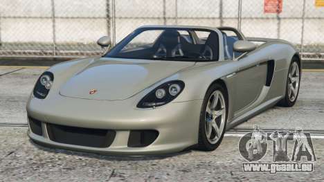 Porsche Carrera GT Quick Silver